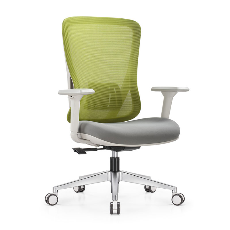 Overall View of the Bee-Waist Office Chair