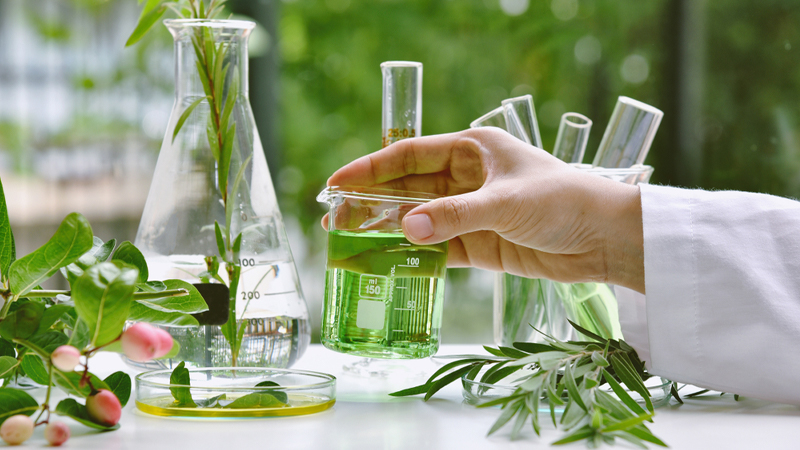 The Science of Purity: How LEFU's Natural Ingredients Redefine Modern Skincare